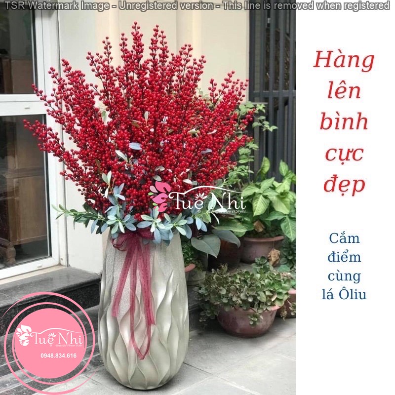Cành Đào Đông Đỏ Trang Trí,12 Nhánh Hàng Loại 1, Quả To Sáng Bóng Đẹp Mắt - Cành Đào Giả.