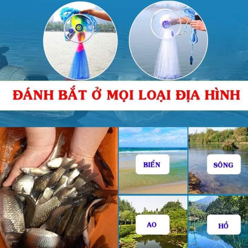 Chài Cước Rút Đĩa Thái Lan ĐỦ SIZE