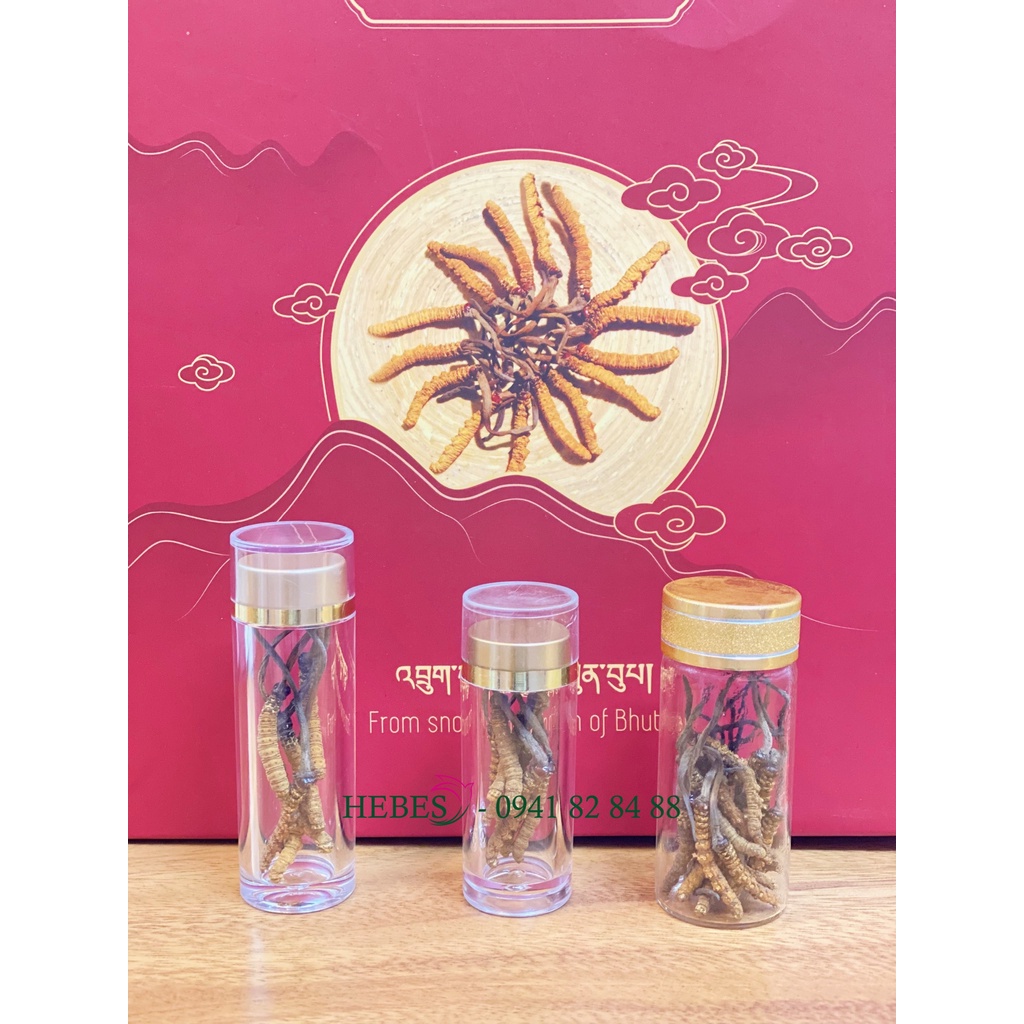 HŨ NHỰA ĐỰNG ĐÔNG TRÙNG HẠ THẢO, SAFFRON