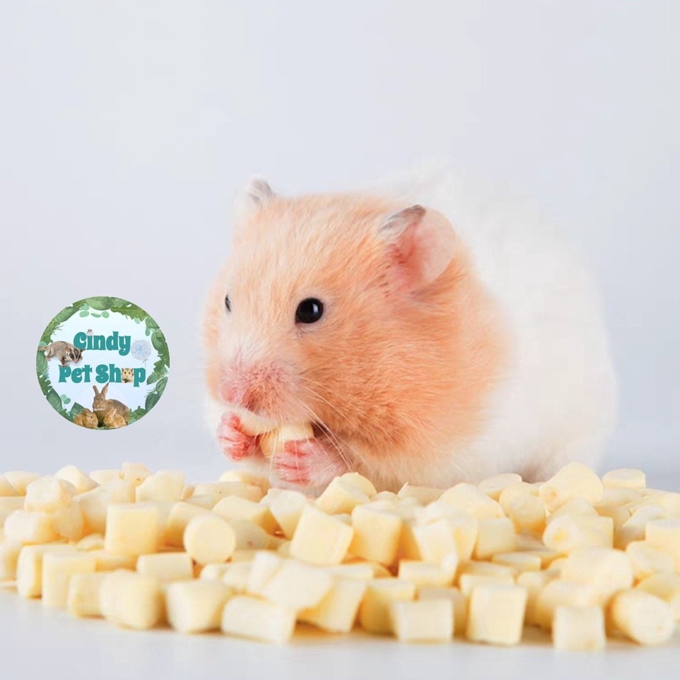 Cheese/Phô mai viên mềm 100g bổ béo cho Hamster, Sóc Bông, Sóc Đất, Sóc Bay Úc...
