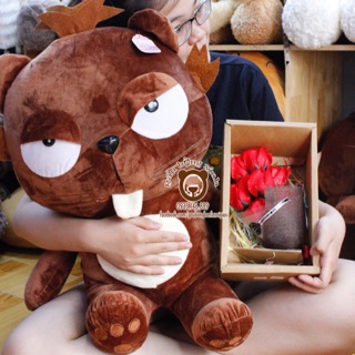 Gấu bông mèo dinga
