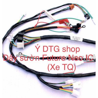 dây điện sườn xe future neo ic 5 chân