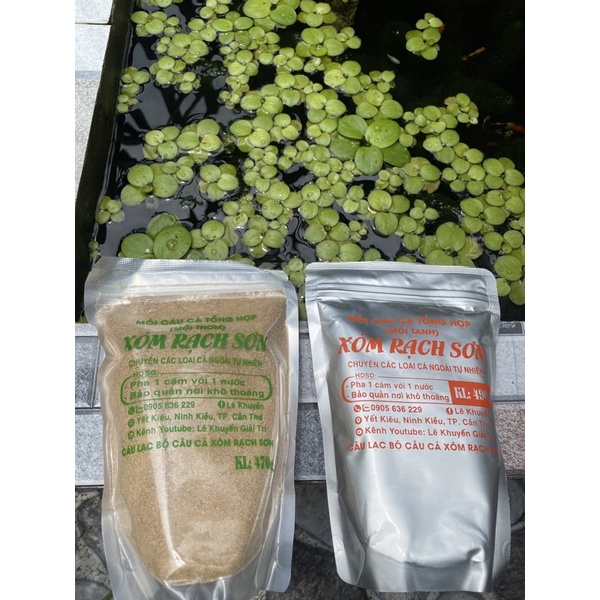 CÁM XÓM RẠCH SƠN tanh và thơm cho cần thủ