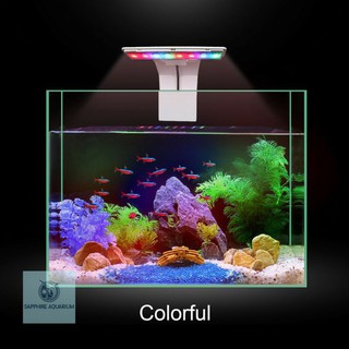 Đèn kẹp M180 - 3 chế độ sáng cho bể 20-30cm