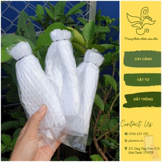 Túi Xốp Lưới Bọc Ổi Tránh Ruồi Vàng, Sâu Bệnh - Dụng Cụ Làm Vườn