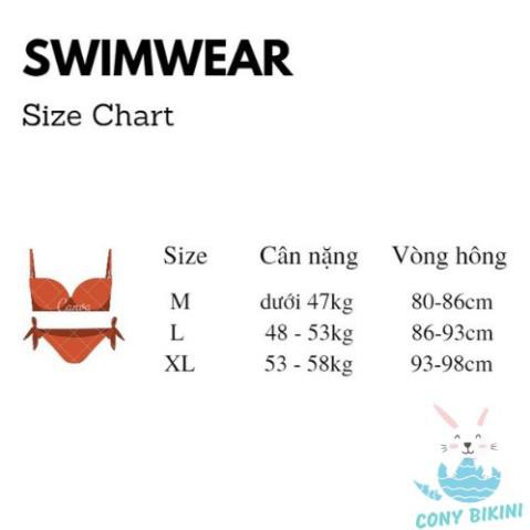 Bộ Tập Bơi Đi Tắm Biển Nữ Bikini 1 Mảnh (Set 2 đồ Áo Liền Quần) 8090 - Phân Phối Nam Gym  ྇