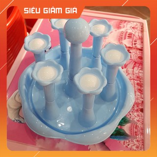 Úp cốc Việt nhật
