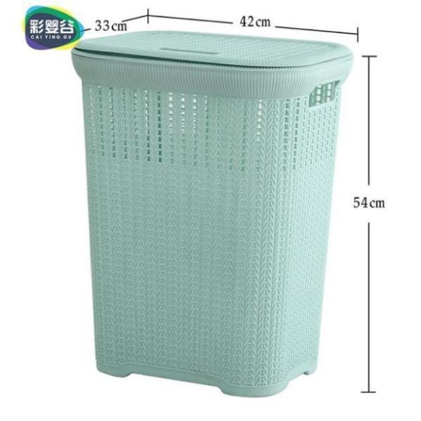 [HOT] Sọt nhựa đựng quần áo có nắp kiểu Hàn Quốc size L1234