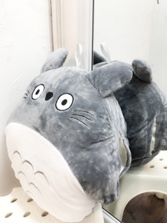 Túi sưởi totoro