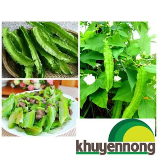 10 Hạt giống đậu rồng