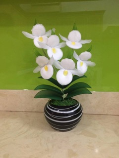 Hoa vải voan