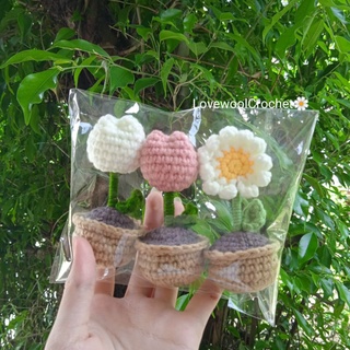Crochet 🌷Chậu hoa tulip mini ,cúc trắng, chậu hoa hướng dương mini bằng len handmade