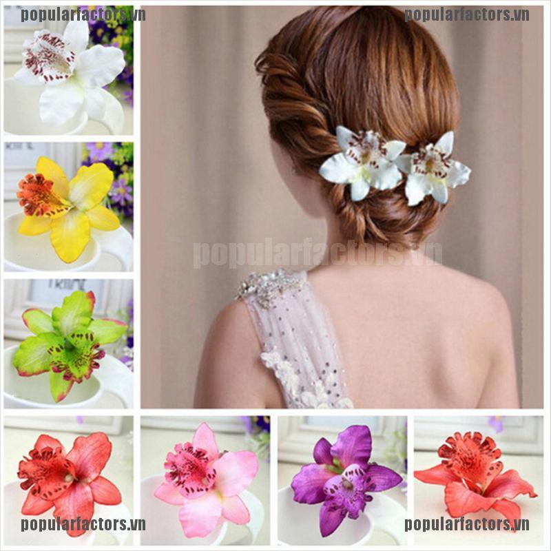 Hoa Lan Đầy Màu Sắc