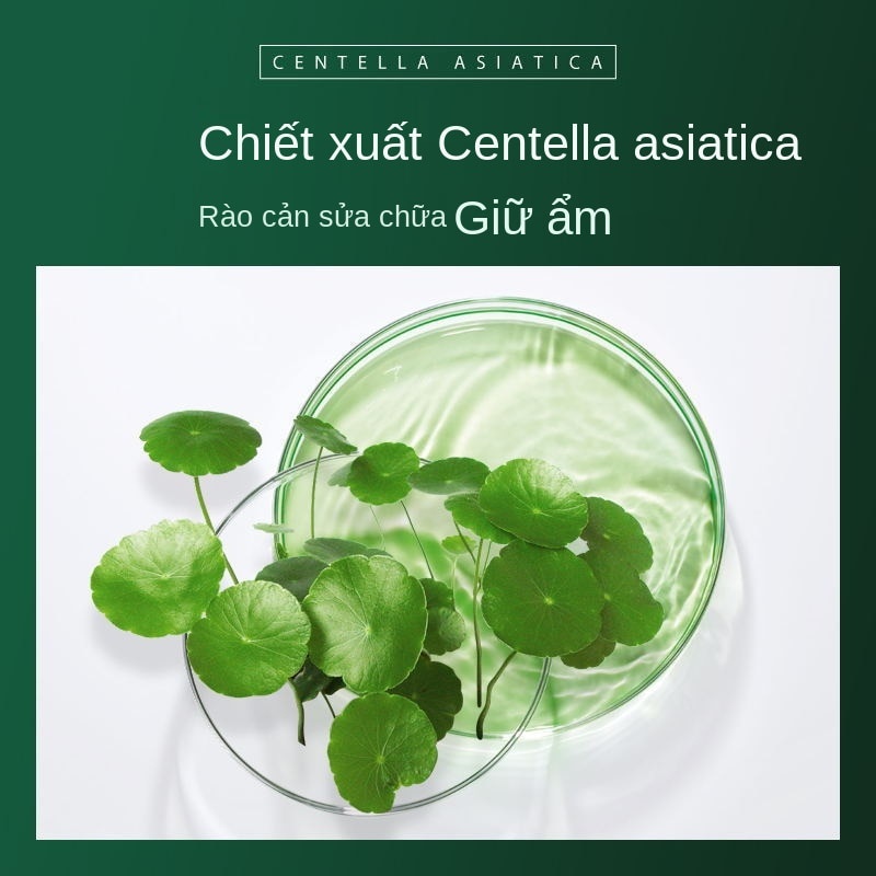 Set 8 mặt nạ dưỡng ẩm thu nhỏ lỗ chân lông làm sáng da BIOAOUA 7.5g