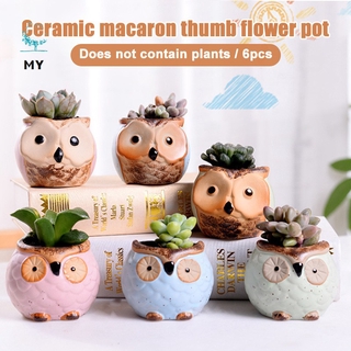 Bộ 6 chậu cây bằng gốm hình chim cú đáng yêu