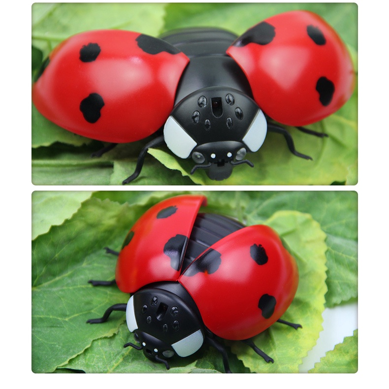 Siêu Bọ Máy Ladybug ZF - Điều Khiển Từ Xa - 9922
