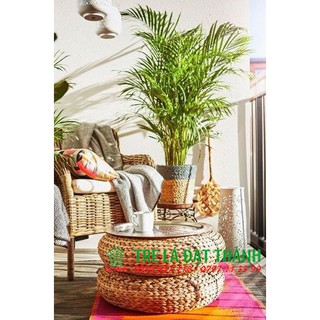(Hàng khung sắt không lún) Đôn lục bình để ngồi, decor, trang trí nhà cửa