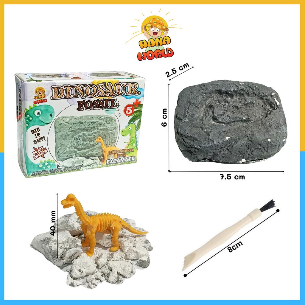 Đồ Chơi Khảo Cổ Khai Quật Hóa Thạch Phiến Đá Khủng Long Màu Xám - Hổ Trợ Giáo Dục - Hanaworldshop