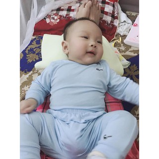 ba dài tay goosse Lien Phan