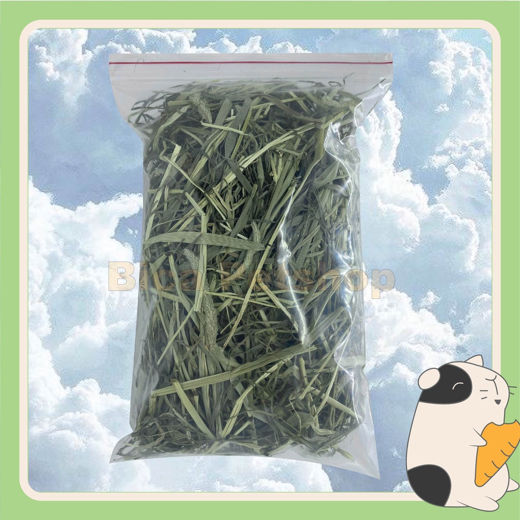 Cỏ khô timothy 500g cho thỏ, chuột lang, chinchilla, sóc bắc mỹ