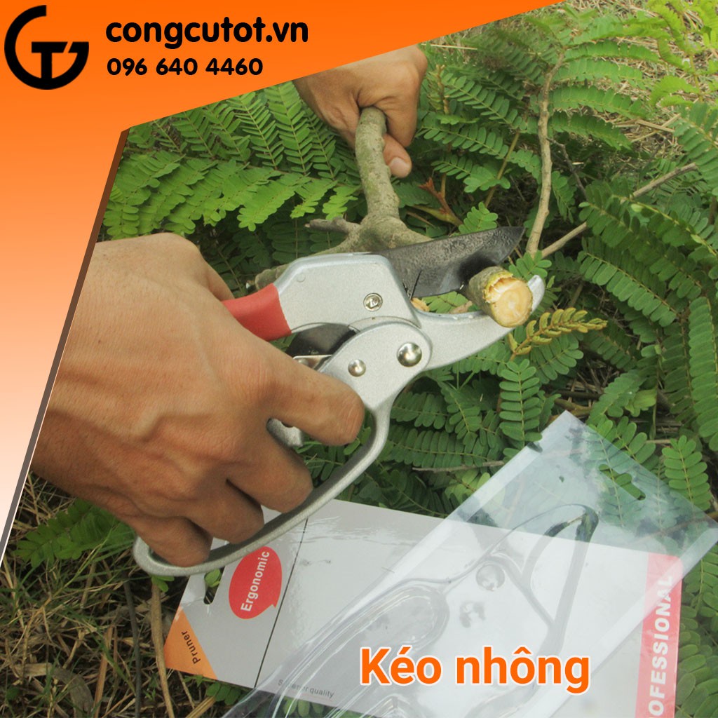 Kéo nhông chuyên cắt tỉa, bon sai cây cảnh thép SK-5 cao cấp