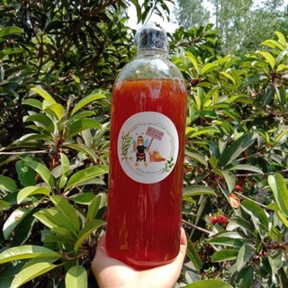 Combo 50 chai nhựa 1 lít