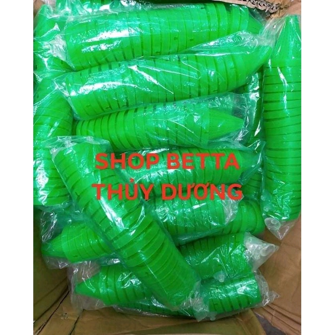 COMBO SỈ SHOP BETTA THỦY DƯƠNG