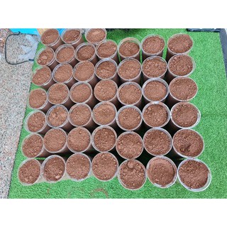 Cacao Nguyên chất 500gr