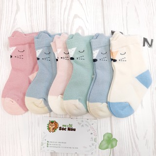 Set tất/vớ cao cổ/thấp cổ cho bé