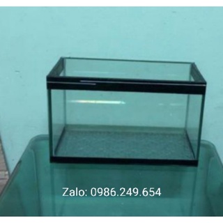 Bể cá mini
