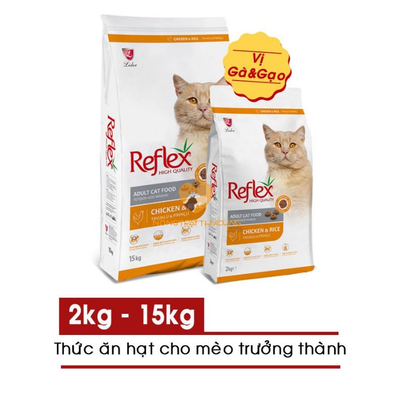 Hạt Reflex Thổ Nhĩ Kỳ cho mèo con mèo lớn túi 1KG