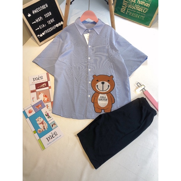 [Chuyên Sỉ] Bộ gấu ngố sơmi chất lụa, hình gấu thêu nổi, chất vải không nhăn quần co dãn, đi làm đi chơi đều xinh.