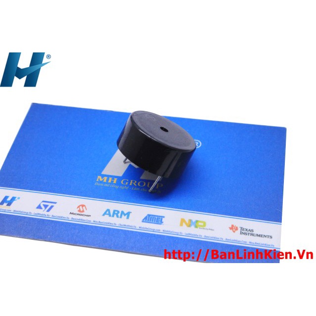 Còi Thạch Anh SFM-20-C DC3-24V