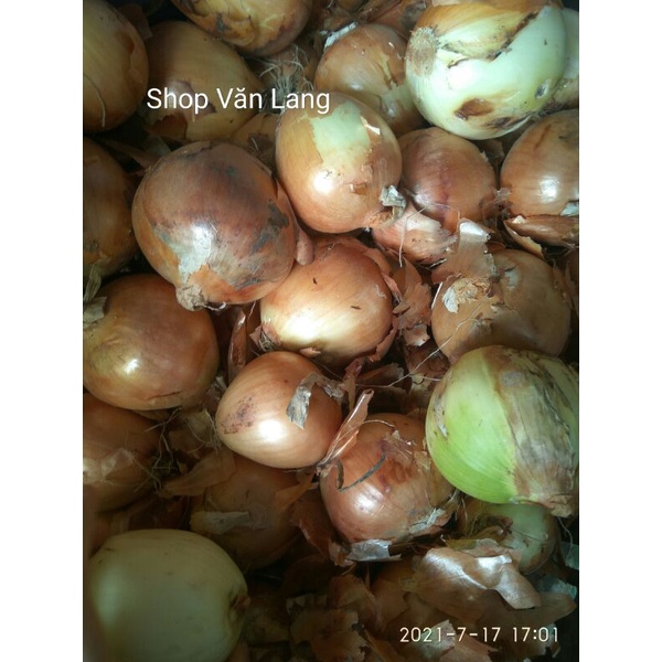 Hành tây tươi ngon ngọt loại 1 túi 1 kg - ship Hà Nội