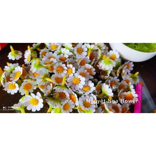Hộp 100 đầu bông cúc tana