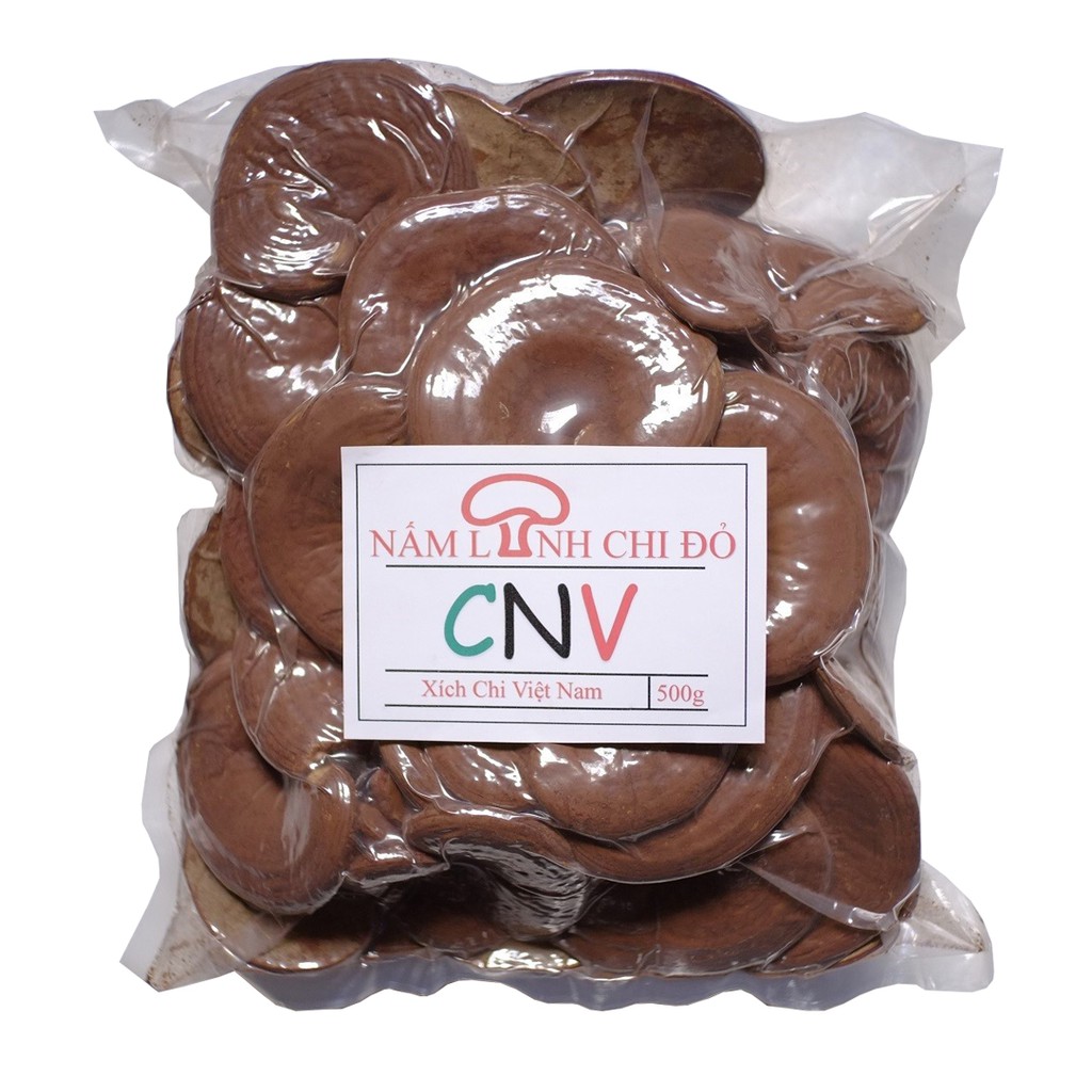 Nấm linh chi đỏ Việt Nam CNV 500g x 2 (Xích chi Việt)