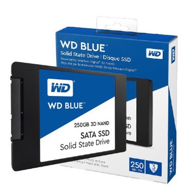 Ổ Cứng SSD WD Blue 3D NAND 250GB WDS250G2B0A (2.5 inch) | BigBuy360 - bigbuy360.vn