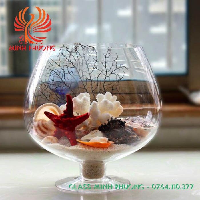 Hồ cá mini thủy tinh để bàn, chậu thủy tinh trồng cây thủy sinh mẫu LC1