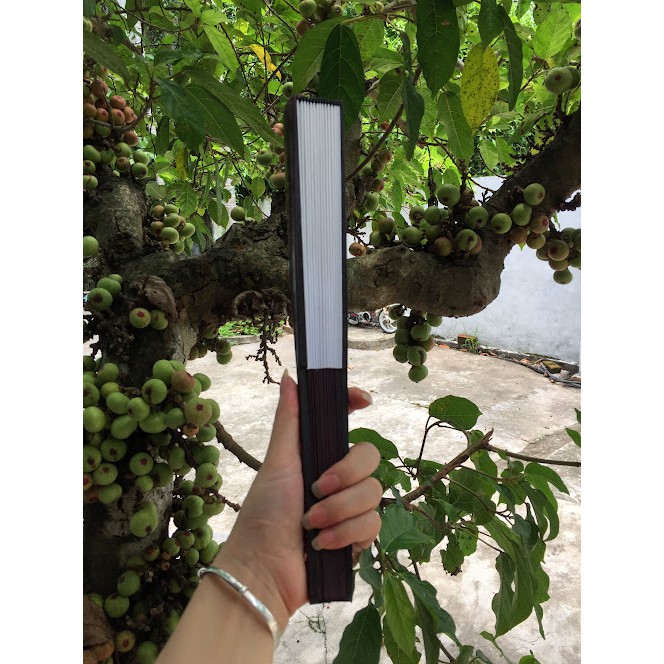 QUẠT XẾP  VIẾT CHỮ THƯ PHÁP PHONG CÁCH CỔ TRANG
