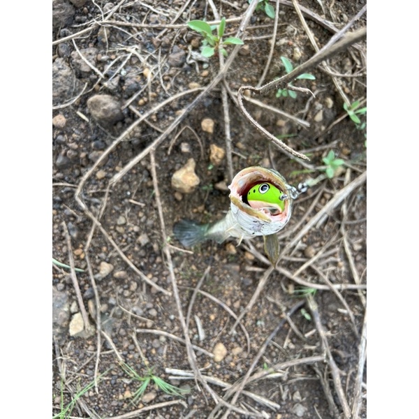 Nhái Hơi Chuột Sóc Mắt Lồi 3,8cm Nặng 7,5gam Lưỡi Thép 1,8li Siêu Bén | Nhái Hơi Siêu Rẻ Chất Lượng