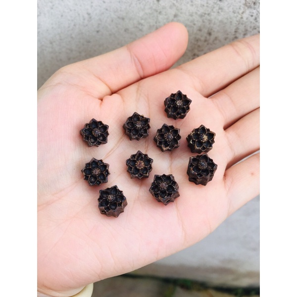 Charm Hoa Sen Trầm Hương Sánh Chìm-phụ kiện thời trang
