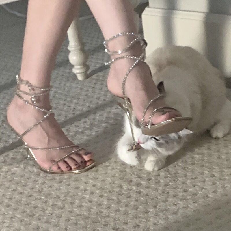 Giày cao gót tùy chọn kích thước đính đá thiết kế thời trang xuân hè 2022