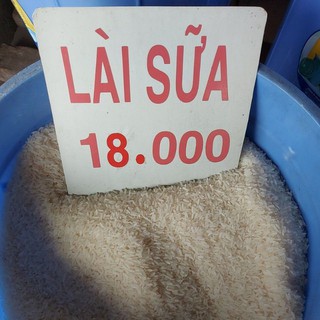 Gạo thơm dẻo -Gạo Lài Sữa
