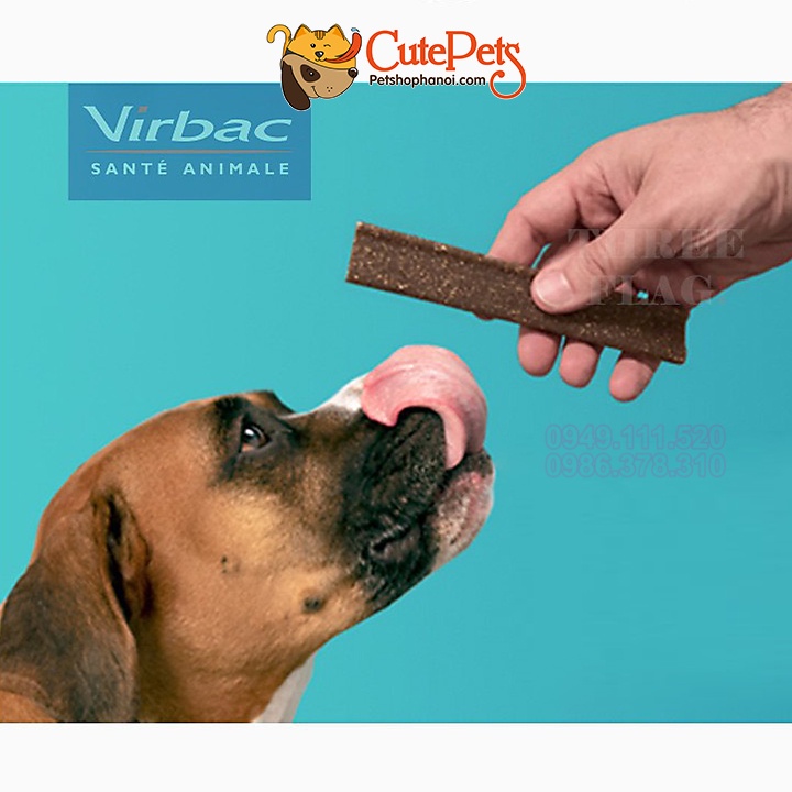 Xương gặm sạch răng Veggiedent Fresh Xương thưởng cho chó Virbac Gói 15 thanh - CutePets