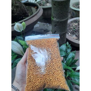 phân tan chậm 14-14-14( túi 500 g)