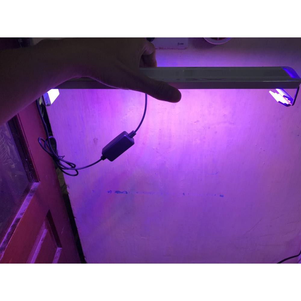 Đèn led đổi màu cho bể thủy sinh bể cá cảnh- đèn đánh màu đỏ cho cá