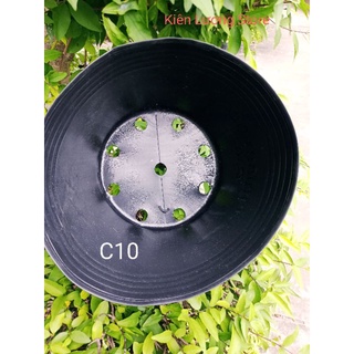 Chậu nhựa đen C10