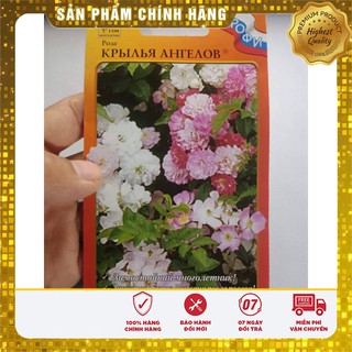 Hạt Giống Cây Hồng Thơm mix Nga