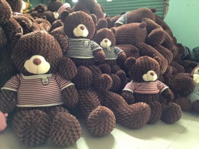 Gấu bông teddy giá sỉ