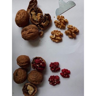 [giảm giá 30%] (300gr)   NHÂN ÓC CHÓ ĐỎ MỸ